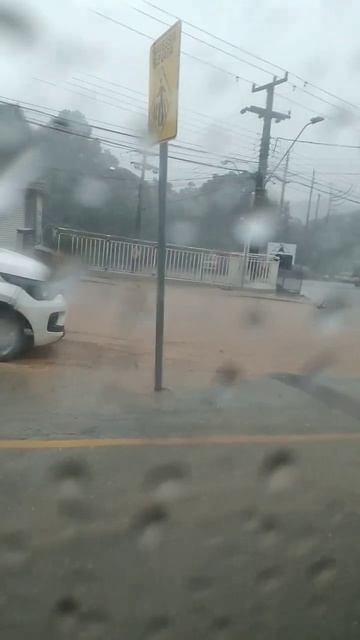 Os temporais constantes têm espantado as enxameações das abelhas menores,mas tem surpresa #shorts смотреть онлайн