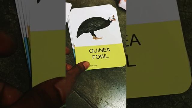 children card book смотреть онлайн