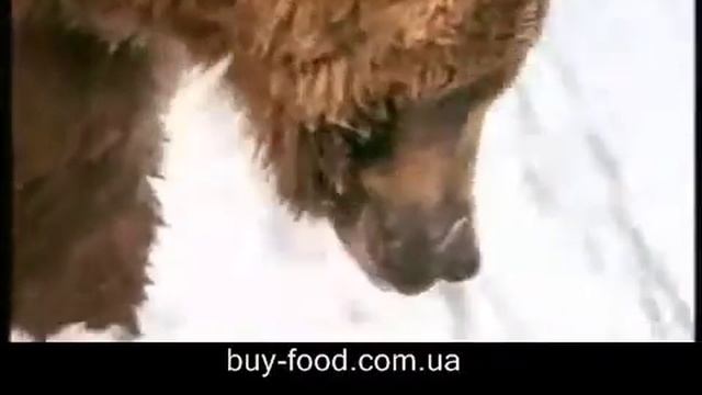 Реклама рыбных консервов смотреть онлайн