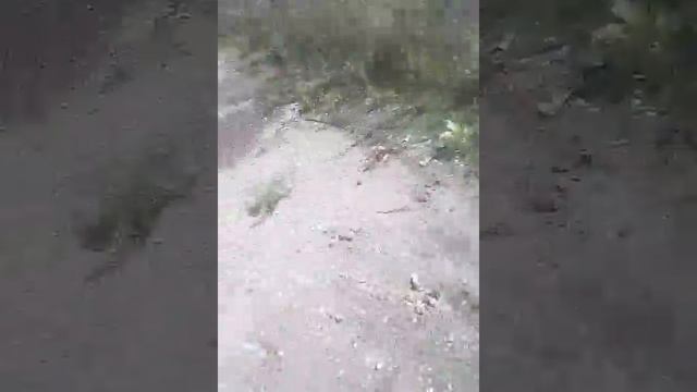 18+[Унылый блог] Игорёк забыл про бензин. смотреть онлайн