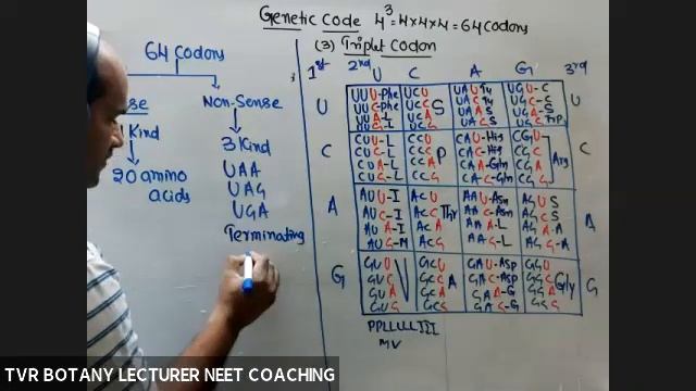 GENETIC CODE AND ITS CHARACTERS смотреть онлайн