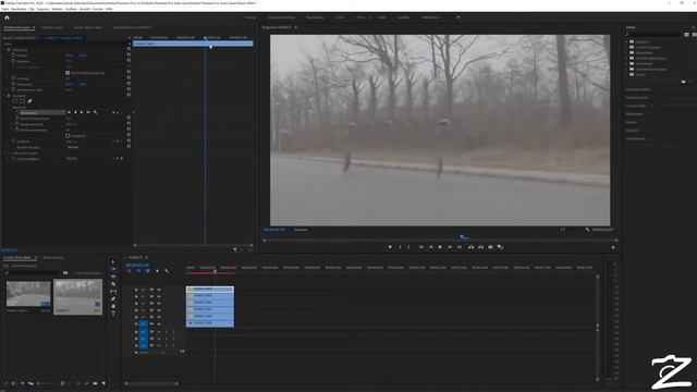 Premiere Pro CC 2020 Tutorial - unsichtbar stempeln смотреть онлайн