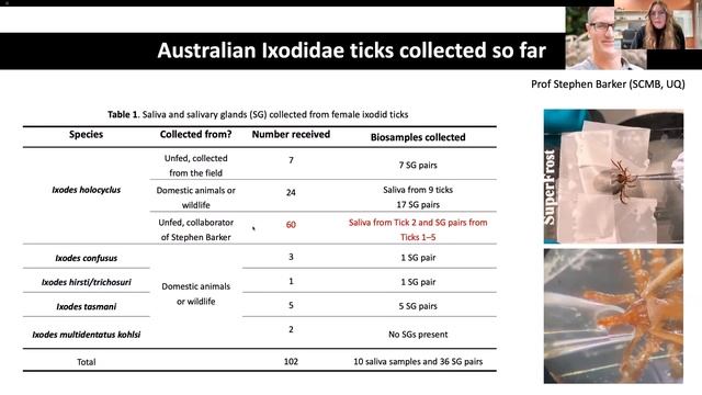 Raine Mercedes • Blood-feeding arthropods: coagulotoxins & ion channel modulators #VenomWednesday 1 смотреть онлайн