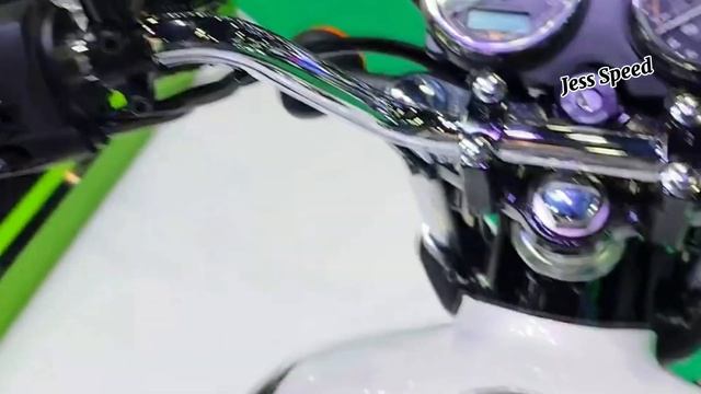 NEW 2024 KAWASAKI W230 Affordable Retro And Coll Style