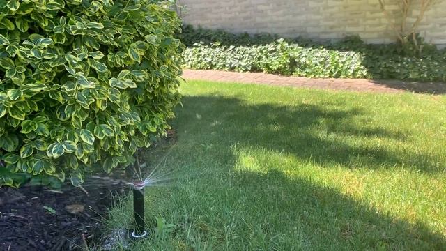 Hunter Standard MP Rotator смотреть онлайн