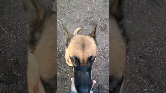 Неподбор первый этап Морс смотреть онлайн