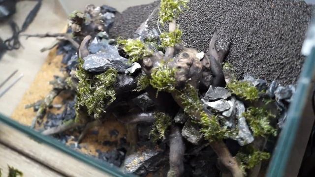 Aquascaping - zakładanie akwarium ADA Mini M смотреть онлайн