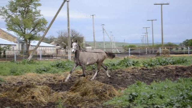 Обертон смотреть онлайн
