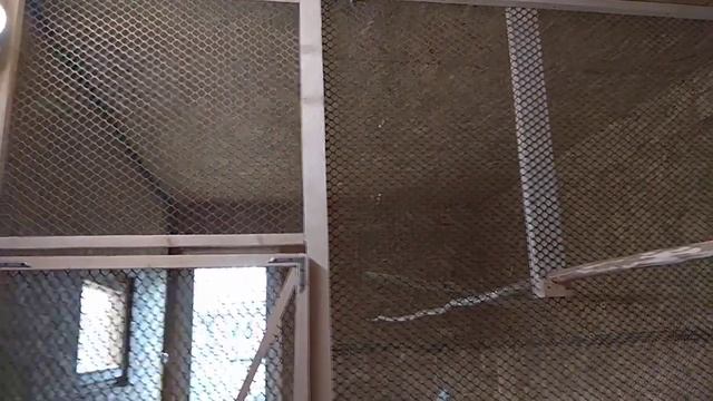 Новгородово Подворье