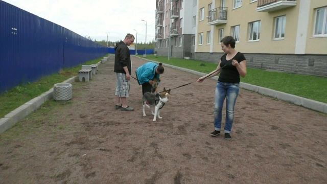 Илва и Бера смотреть онлайн