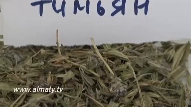 Мыло из кумыса смотреть онлайн