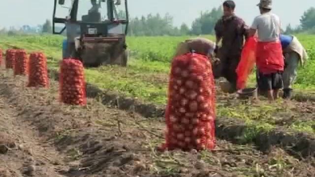 Программа-минимум на грядущий год смотреть онлайн