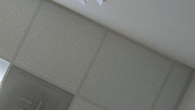HQ Raspi Camera Test смотреть онлайн