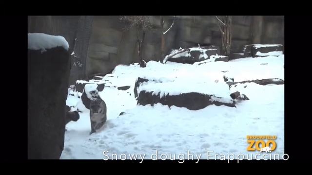 Econ Hoffman Starbucks project: Russia. Snowy Doughy Frap смотреть онлайн