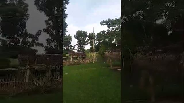 Sacrifice Sale Very Cheap Income Generating 7.4 hectares Farmland in Ubay Bohol Philippines смотреть онлайн