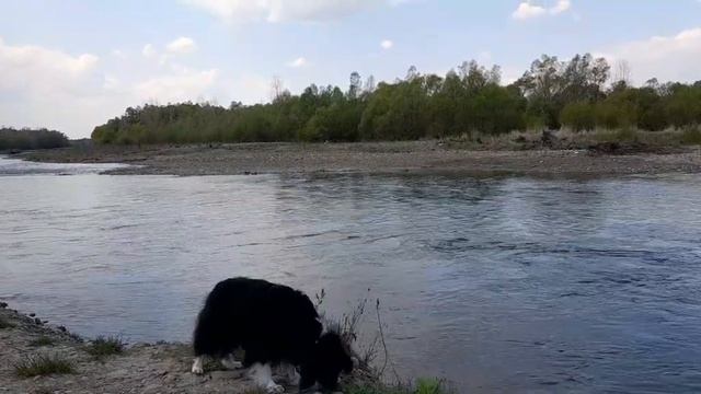 Дэкс привёл смотреть онлайн