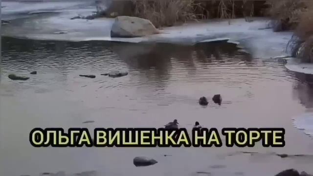 ЛИЧНАЯ ЖИЗНЬ КОЧУРЫ И АЗИЗОВА. ОЛЬГА УРАЛОЧКА LIVE. ОБЗОР. смотреть онлайн