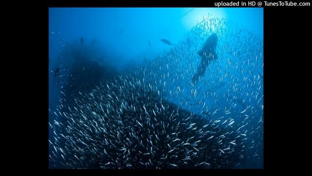 Jean Michel Jarre  Trance Dance  Remix Trance Traxx