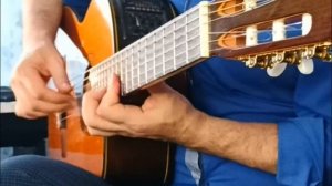 "МОЙ ЛАСКОВЫЙ И НЕЖНЫЙ ЗВЕРЬ" НА ГИТАРЕ, САМЫЙ ИЗВЕСТНЫЙ В МИРЕ КИНОВАЛЬС | АНАТОЛИЙ ЯДРЫШНИКОВ