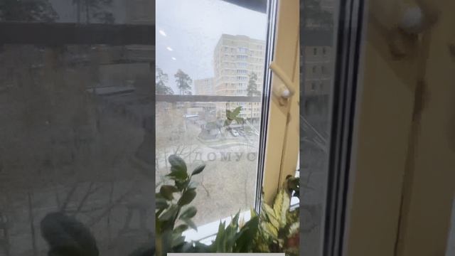 Продается 2 квартира смотреть онлайн