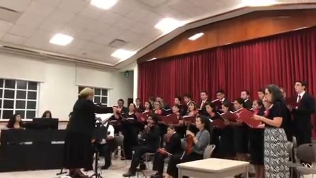 Mirad los Lirios смотреть онлайн
