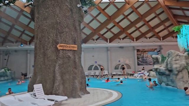 Terme Čatež, dolazak u hotel Čatež 🧳 prvi utisci o hotelu i termalnoj rivijeri 🏊 Slovenija смотреть онлайн