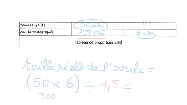 calcul taille echelle смотреть онлайн