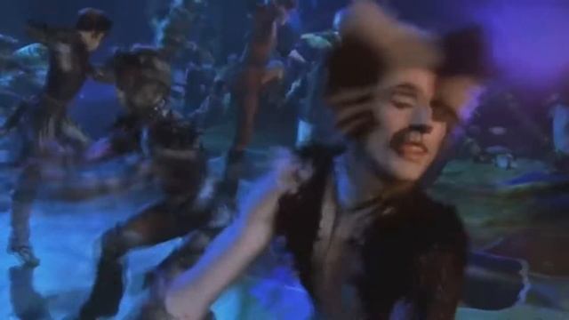 CATS YouTube Poop? - Jellicle Songs for Jellicle Cats, but only words that rhyme with Jellicle смотреть онлайн