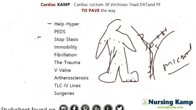 What is a clots and Virchows Triad DVT Deep Vein Thrombosis Nursing KAMP NCLEX 2019 смотреть онлайн