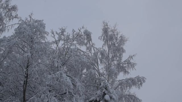21 декабря 2021 г. смотреть онлайн