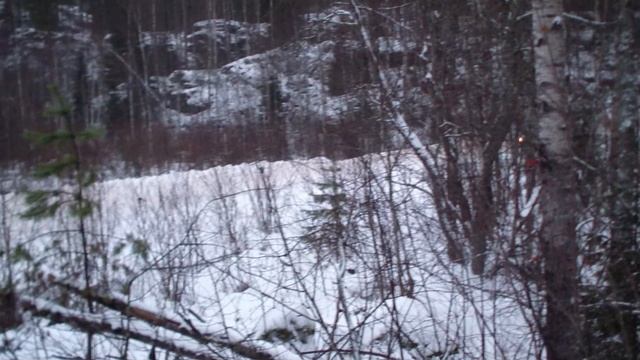 Ралли Карелия 2025