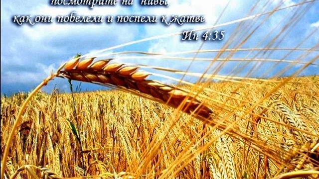 Novye nivy-092503-Radio Center @ 31.12.2018 00.31.35 - 01.01.05 00_00_00-00_29_22~1 смотреть онлайн