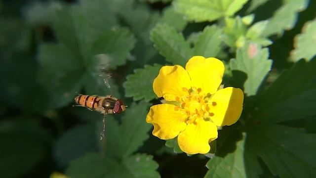 Slow motion collision in the air смотреть онлайн