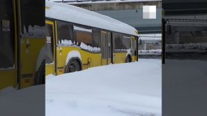 Ярославль: какие автобусы будут ездить после транспортной реформы