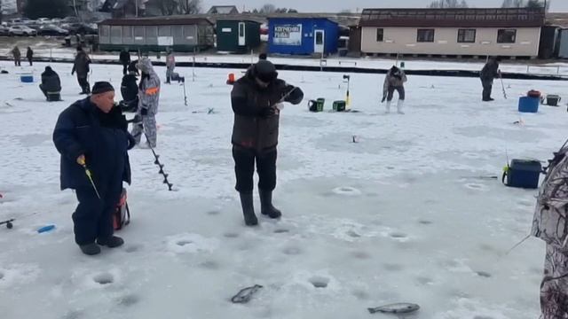 25-01-2025 смотреть онлайн