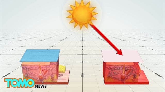 Staying cool: Stanford scientists develop new clothing material to keep the body cool - TomoNews смотреть онлайн