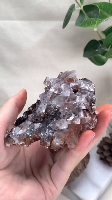 ．艾莉希亞寶石水晶．01 湖北大冶方解石 紅方解石 大晶體方解石 смотреть онлайн