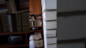 Как избавиться от запаха браги в квартире