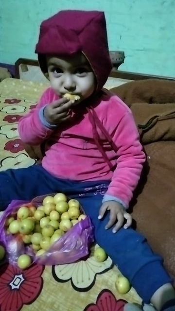 बेर खा रही हूं //#shorts #viral #trending #cutebaby #bachpan #ber смотреть онлайн