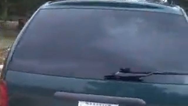 I think I'm a soccer mom now... Minivan tour смотреть онлайн