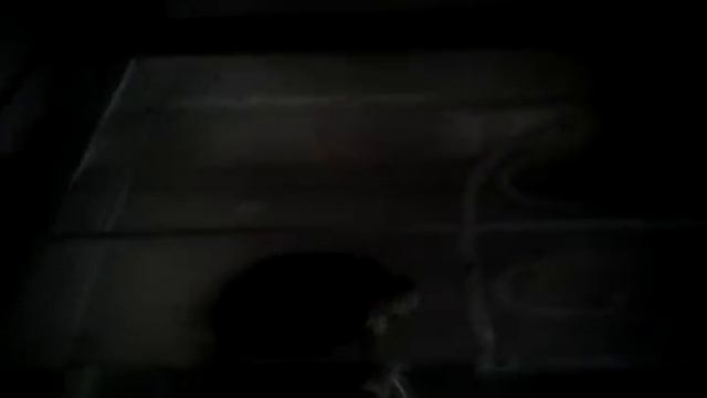 Как РАФ ест еду смотреть онлайн