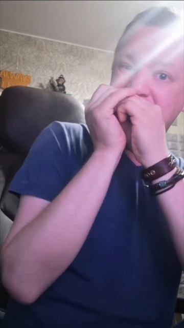 ночной запил... #harmonica #гармоника #губнаягармошка #harp #ритм смотреть онлайн