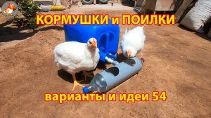 Кормушки и поилки для кур своими руками 54 🪚✂️ Пошаговая инструкция как сделать 🐔 🐓❣️