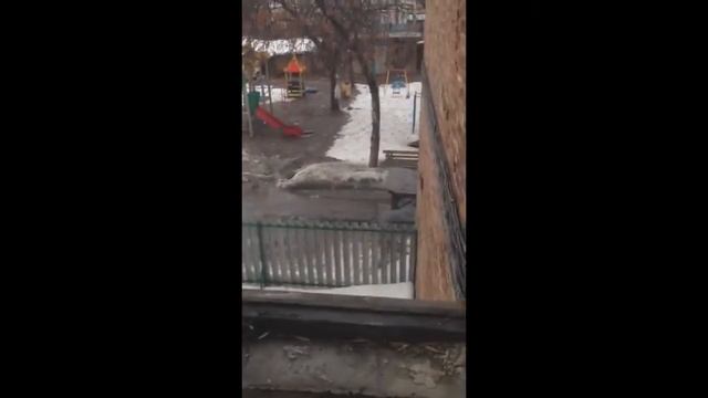 Шакалы ссаные смотреть онлайн