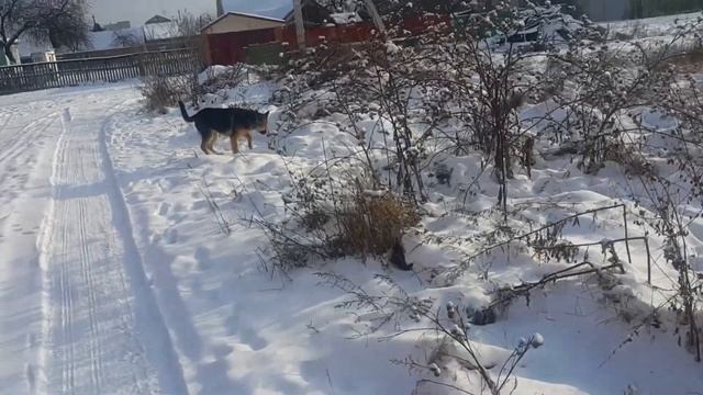 Друзья и территория Рича смотреть онлайн