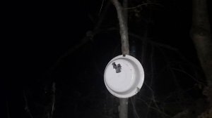 стрельба  бронебойными  пулями  на  точность леший  2