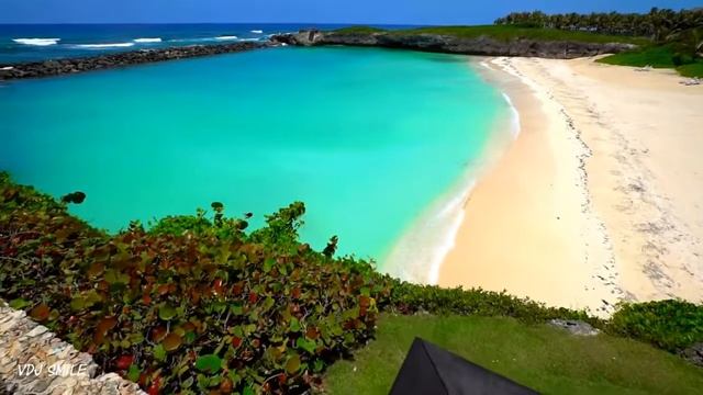 F4Z3R   2020 Original Mix