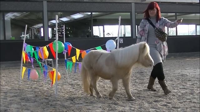 Kay and Honeydrop doing Horse Agility! смотреть онлайн