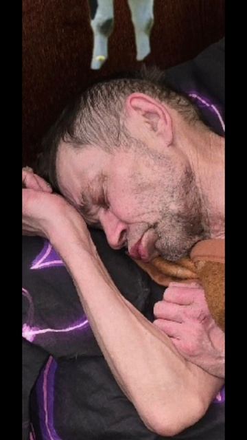 #мажор на связи😎 смотреть онлайн