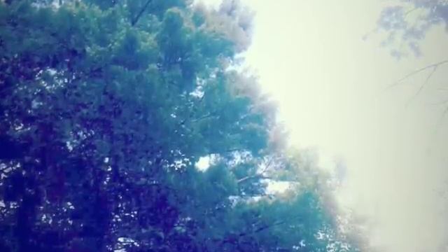 Lisa Bella Donna - Impression for Moog Matriarch, 16MM Film, & Magnetic Tape смотреть онлайн